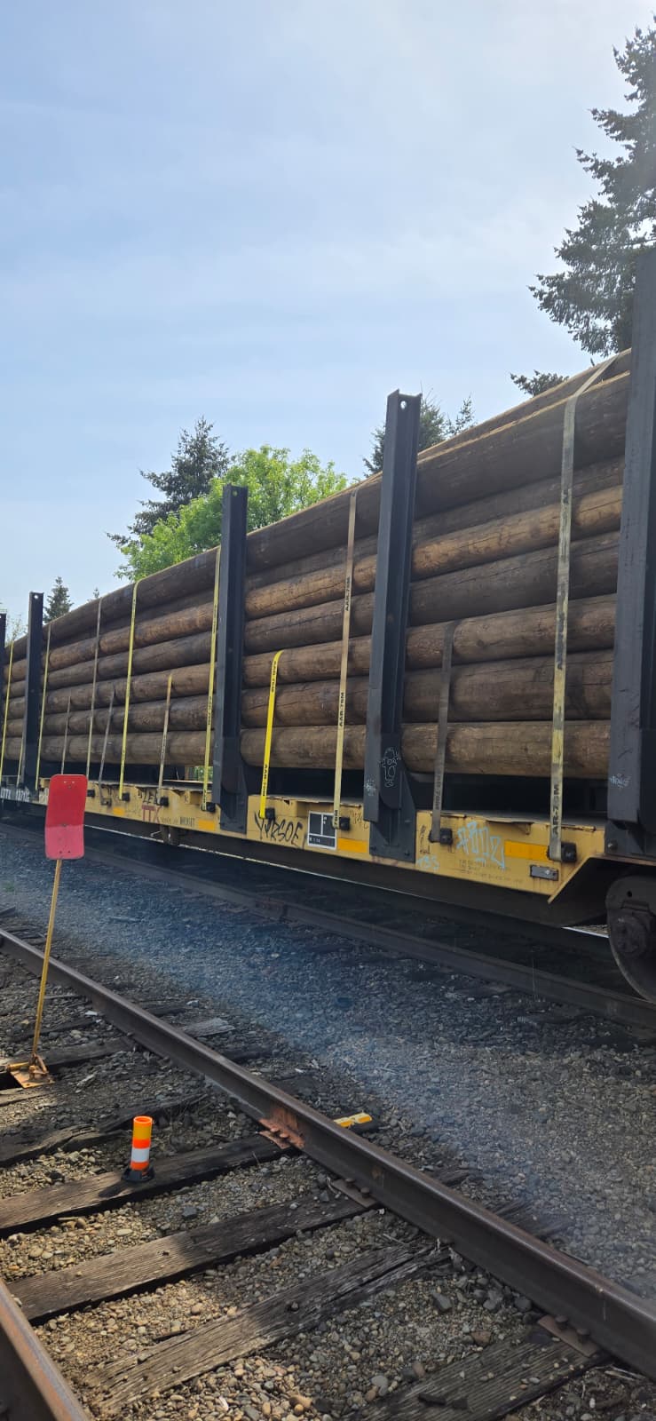 AAR webbing securing logs